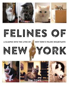 felinesofny